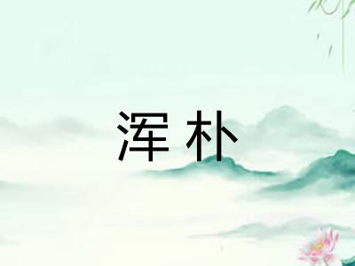 浑朴