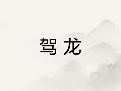 驾龙