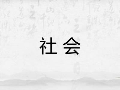 社会