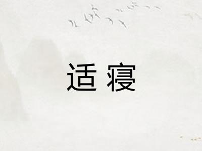 适寝