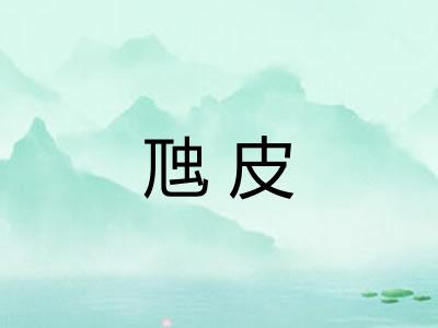 虺皮