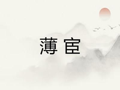 薄宦