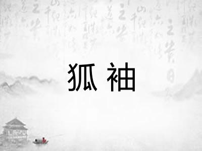 狐袖