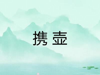 携壶