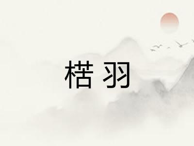 楛羽
