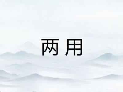 两用