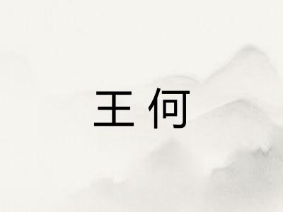 王何