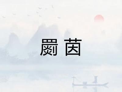 罽茵