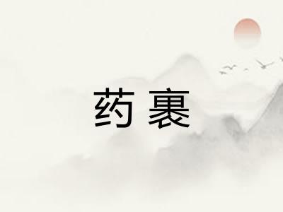 药裹