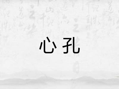 心孔