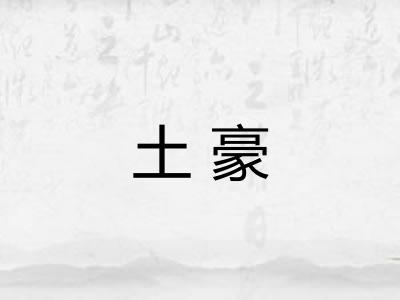 土豪