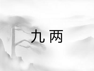 九两