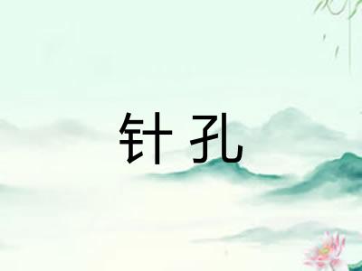 针孔