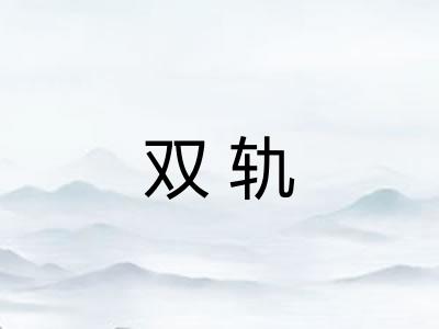 双轨