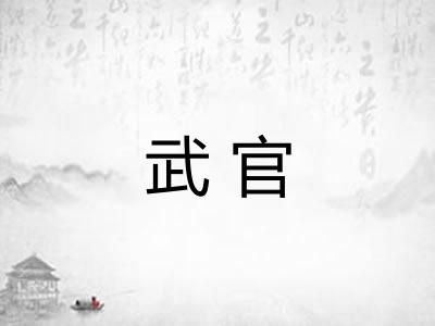 武官