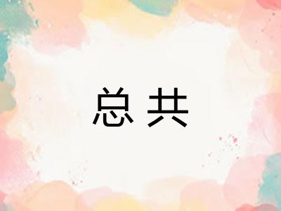 总共