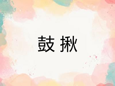 鼓揪