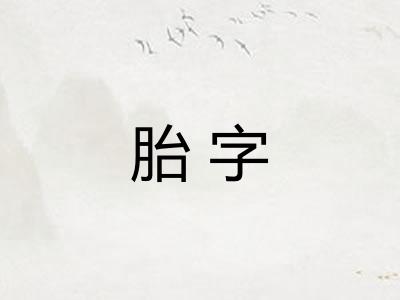 胎字