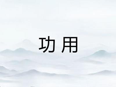功用