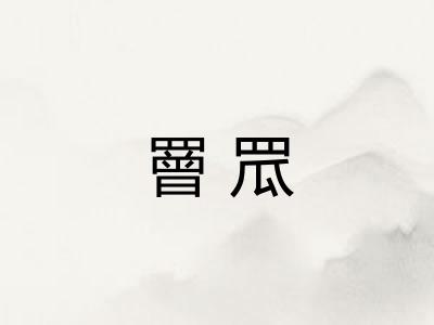 罾罛