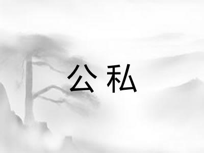 公私