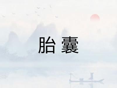 胎囊