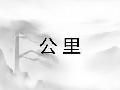 公里