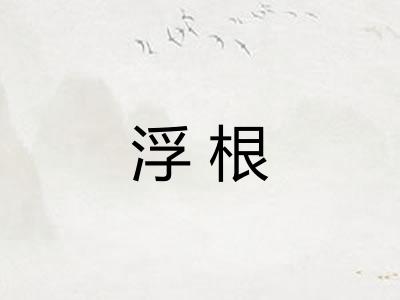 浮根