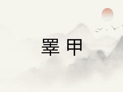 睪甲