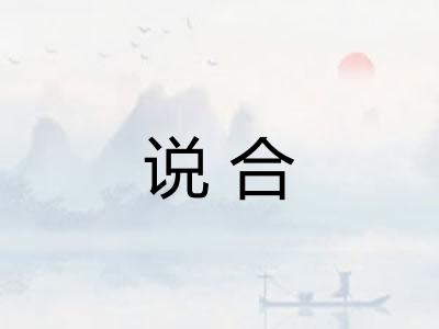 说合