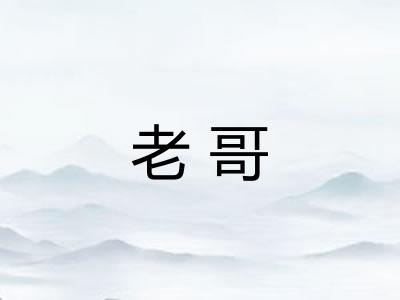 老哥