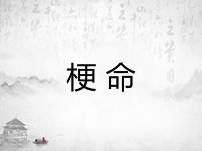 梗命