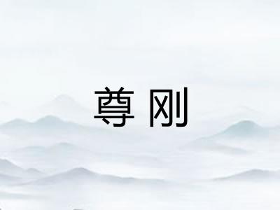尊刚