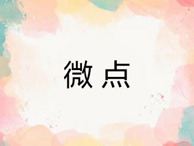 微点