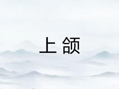 上颌