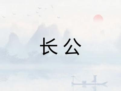 长公