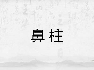 鼻柱