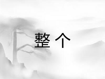 整个