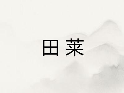 田莱