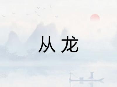 从龙