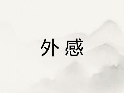 外感
