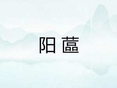 阳蓲