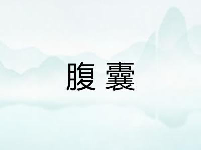 腹囊