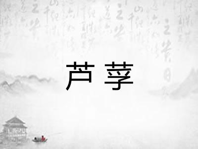 芦莩