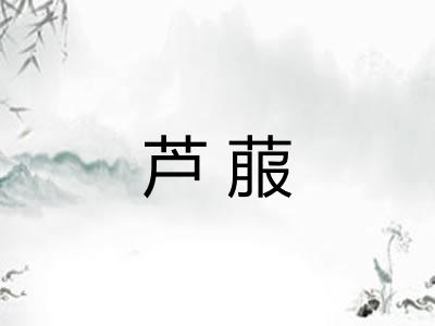 芦菔