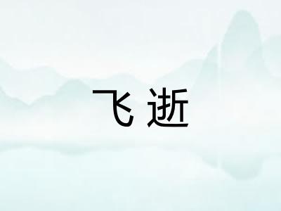 飞逝