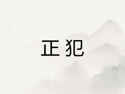 正犯