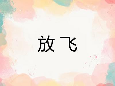 放飞