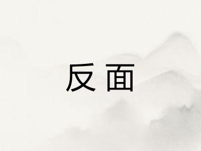 反面