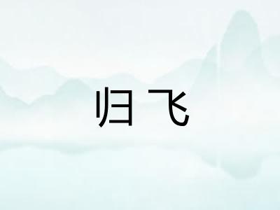 归飞